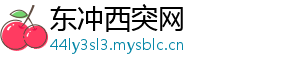 东冲西突网